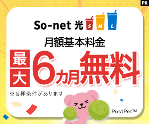 価格もスペックも、あなたにちょうどいいインターネット So-net 光 S