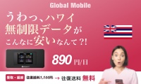 ハワイ専用レンタルWiFiルーター【アロハデータ】